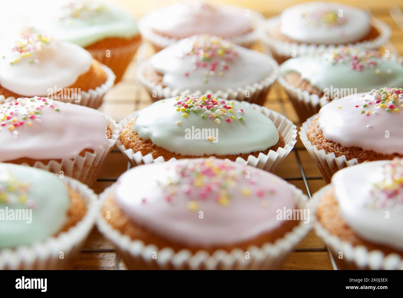 Freshly baked cupcakes in rows on a cooling tray Stock Photo