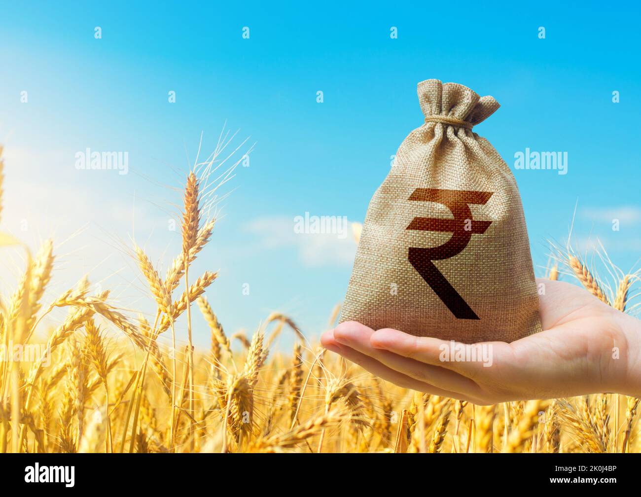 Wheat field and indian rupee money bag. Agroindustry and the agricultural business. World hunger. World food security crisis, high prices. Grains defi Stock Photo
