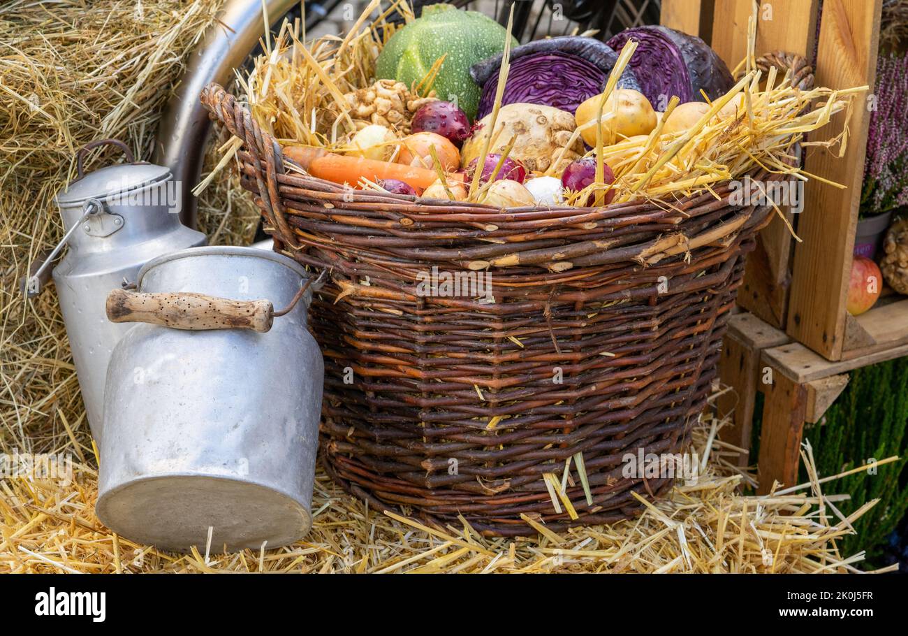 autumnal decoration with vegetable basket as background Stock Photo