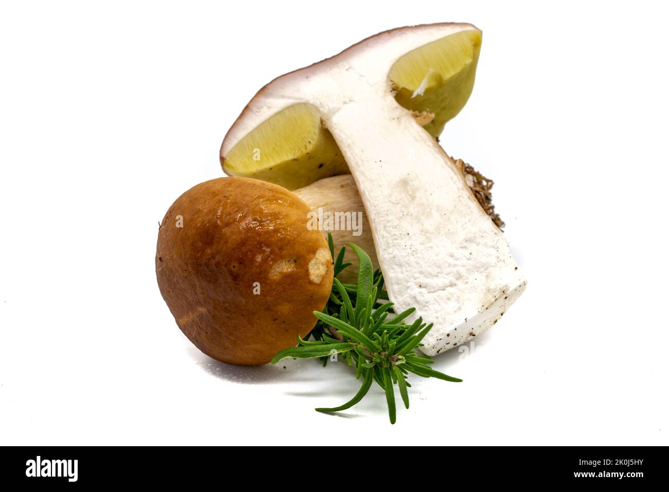 Porcini mushroom (Boletus edulis) isolated on white background Stock Photo