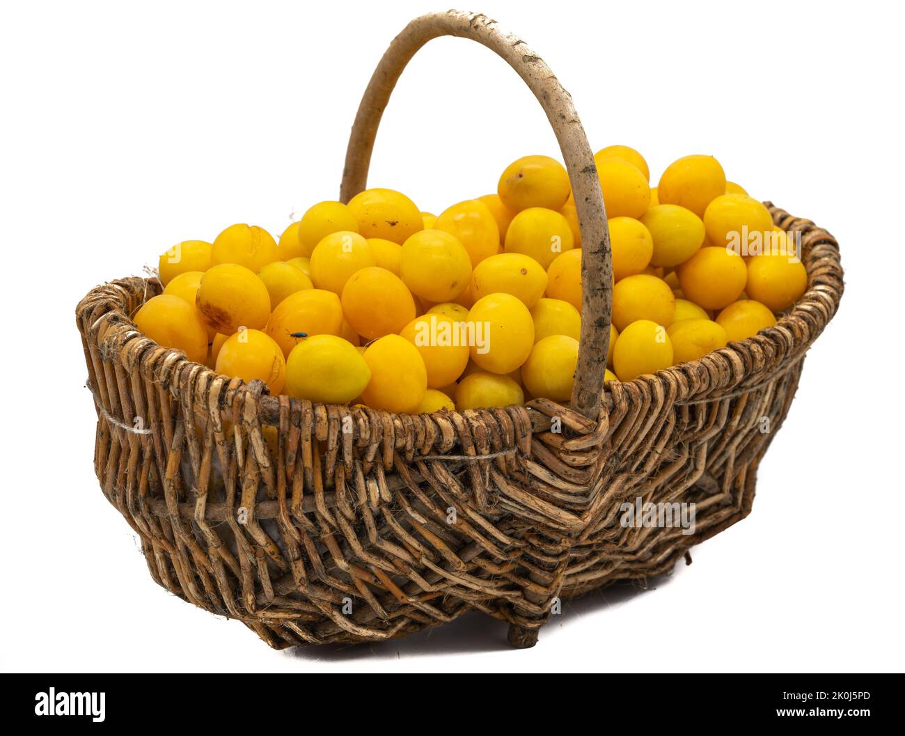 Basket with Spillingen plums isolated on white background Stock Photo