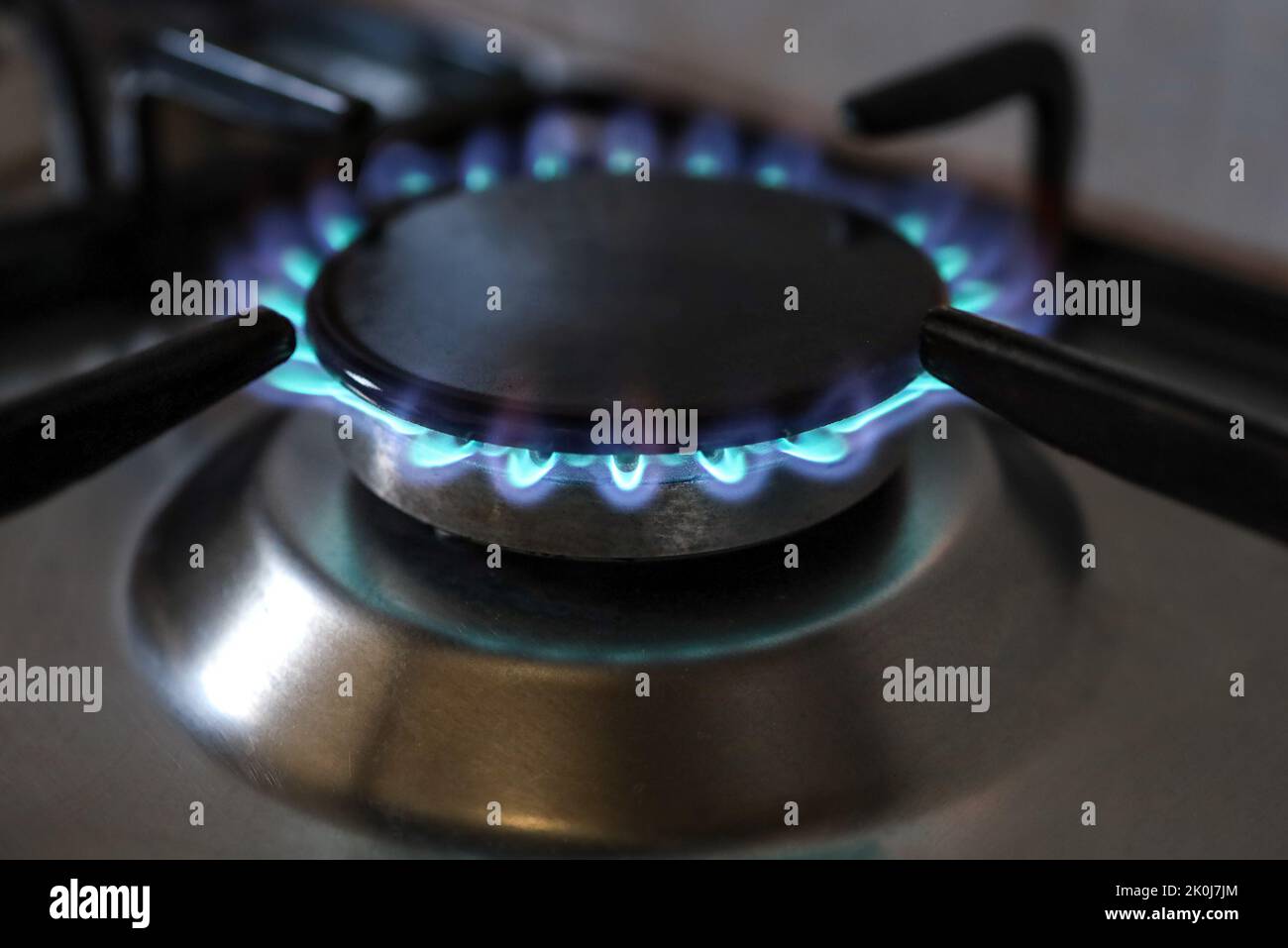 domestic gas stove price