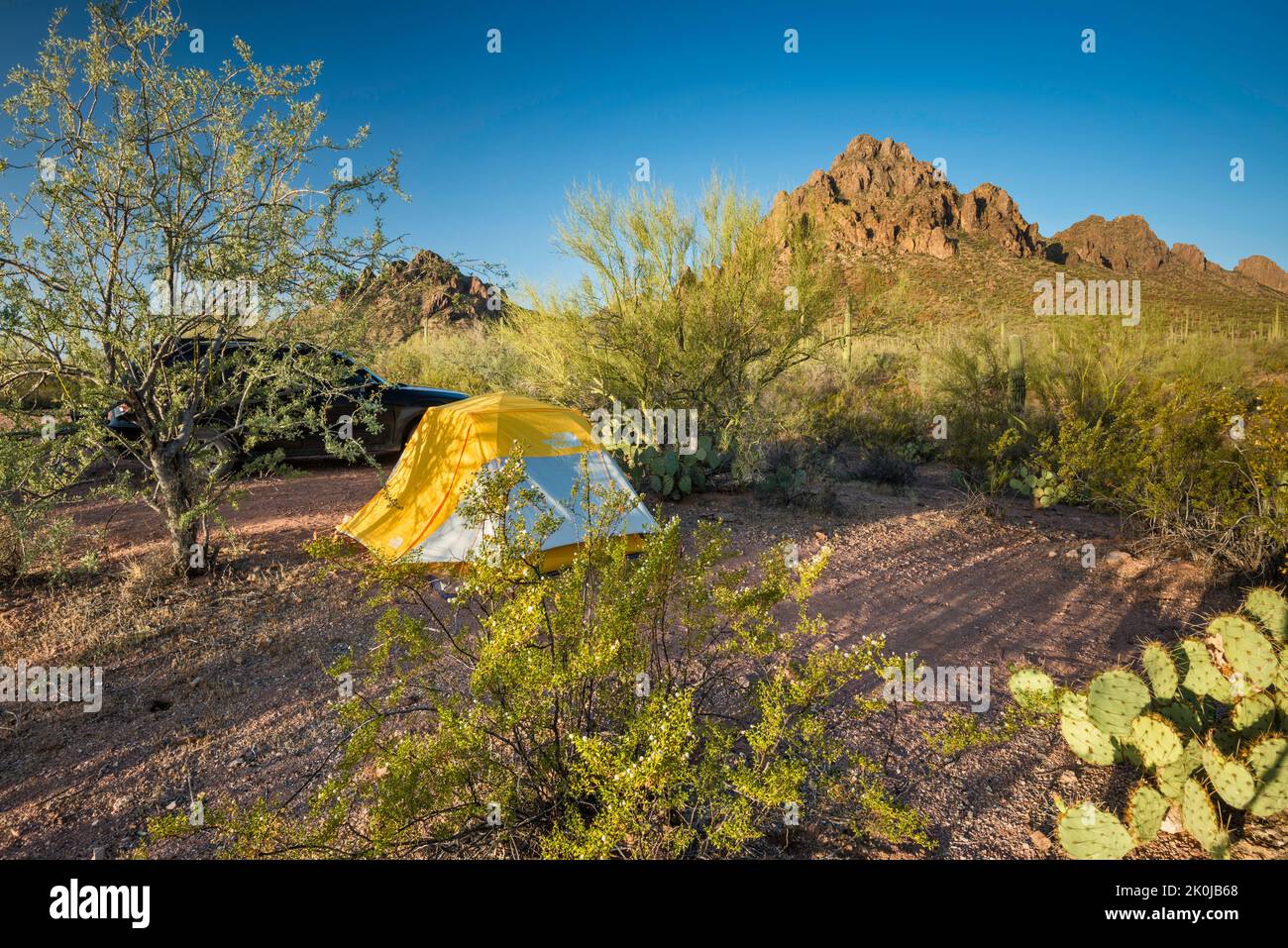 Tent at campsite near Ragged Top mountain, creosote bush in front, Silver Bell Mtns, Sonoran Desert, Ironwood Forest Natl Monument, Arizona, USA Stock Photo