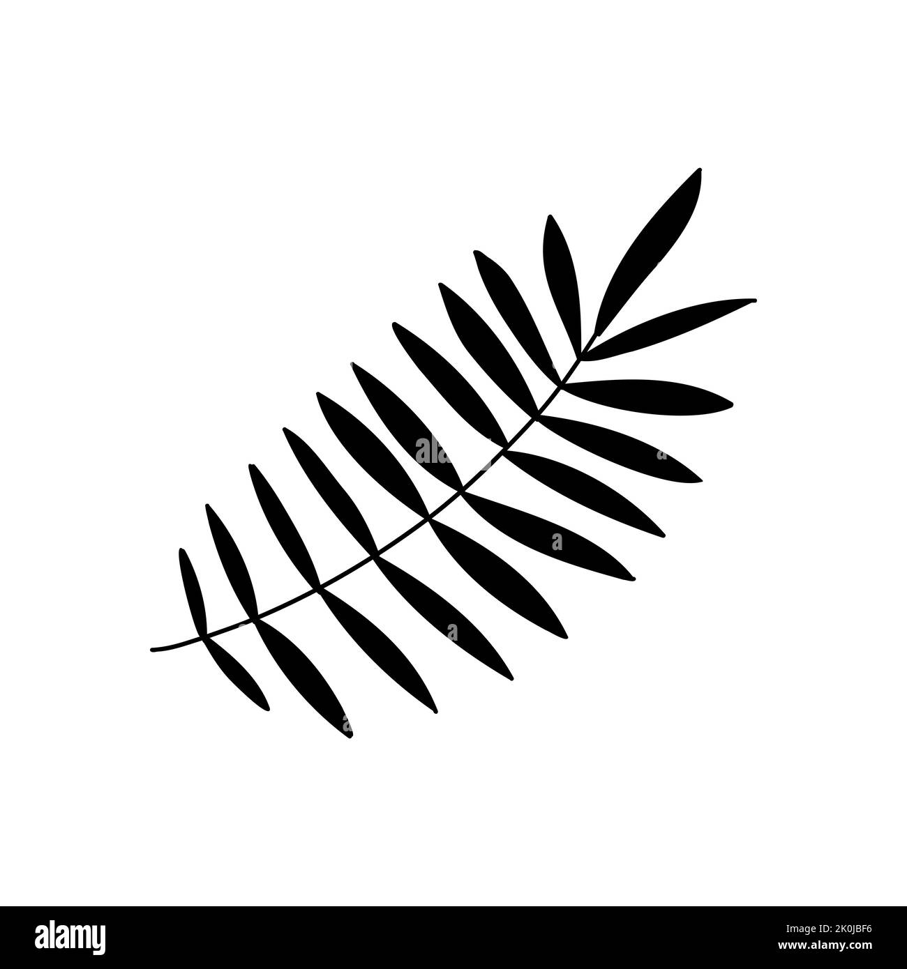 Tropical leaves. Hand drawn jungle leaf set. Vector exotic monstera