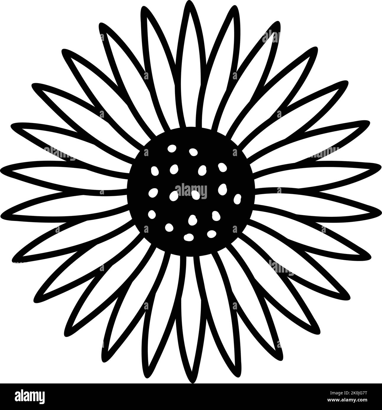 Hand drawn garden sunflower Black and White Stock Photos & Images - Alamy