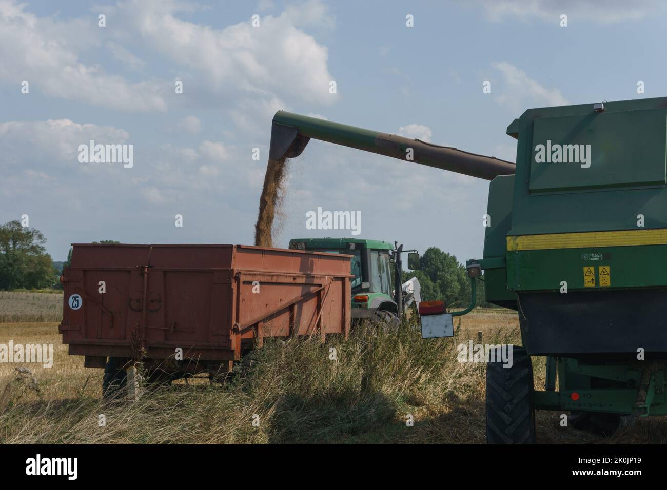 Harvest of wheat by using combine and tractor in summer in france stock