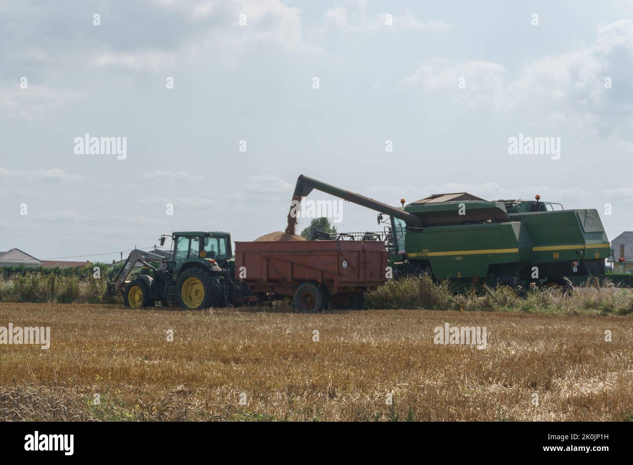 Harvest of wheat by using combine and tractor in summer in france stock