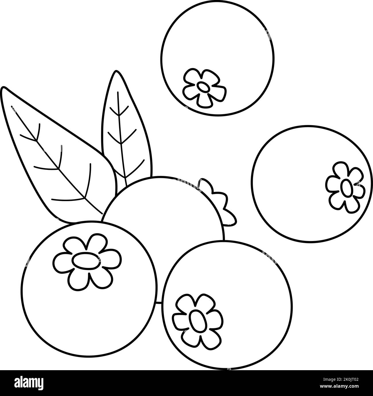 Blueberry Fruit Isolated Coloring Page for Kids Stock Vector Image