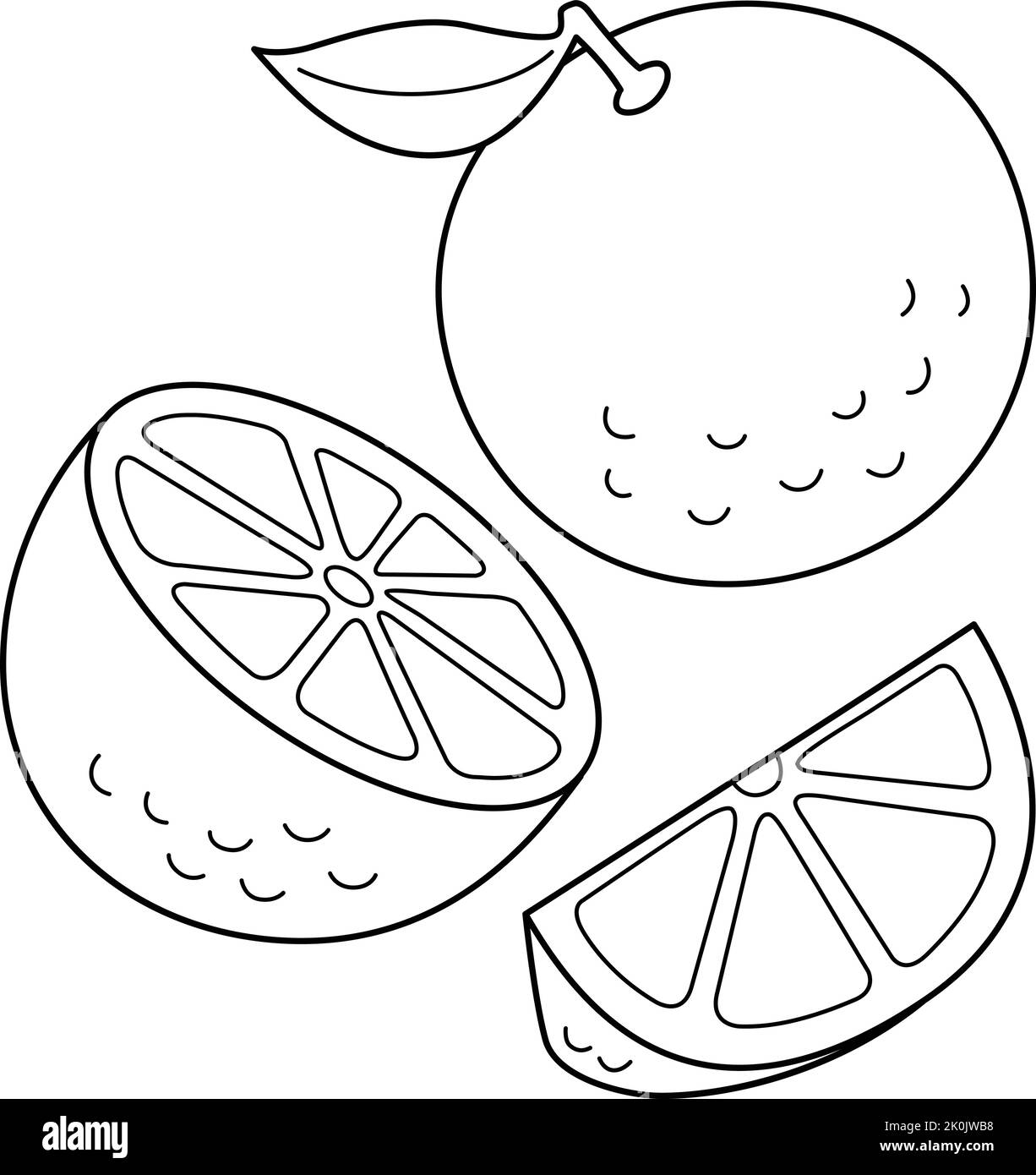 Premium Vector  Lime line icon in vector citrus fruit illustration