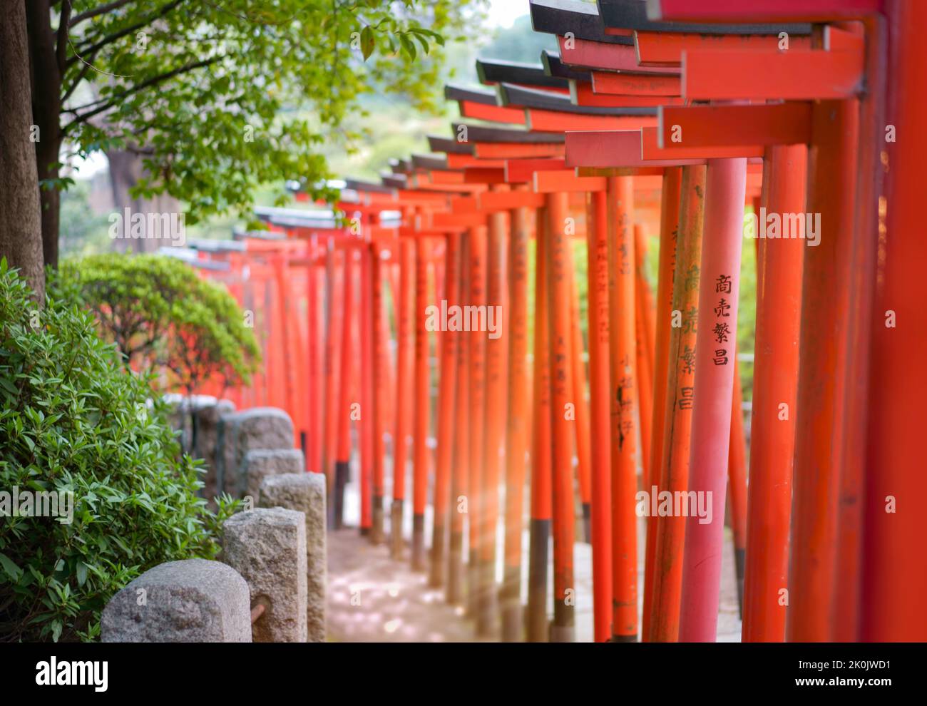 Rays of sun passing between the pillars of a tunnel made with multiple