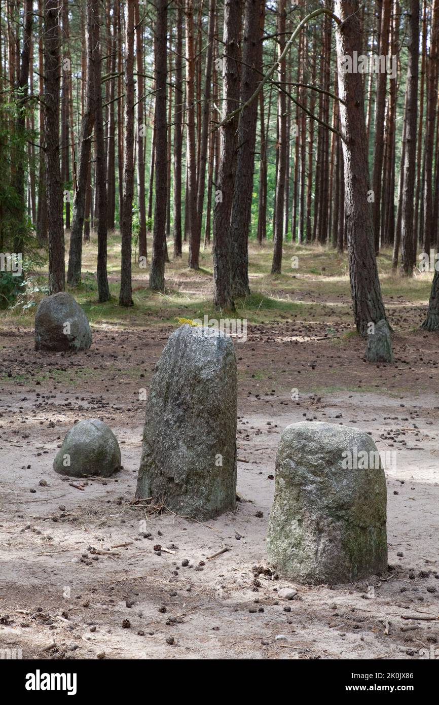 Megalithic Stone circles in Węsiory Poland - Kamienne kręgi Węsiory Polska Stock Photo