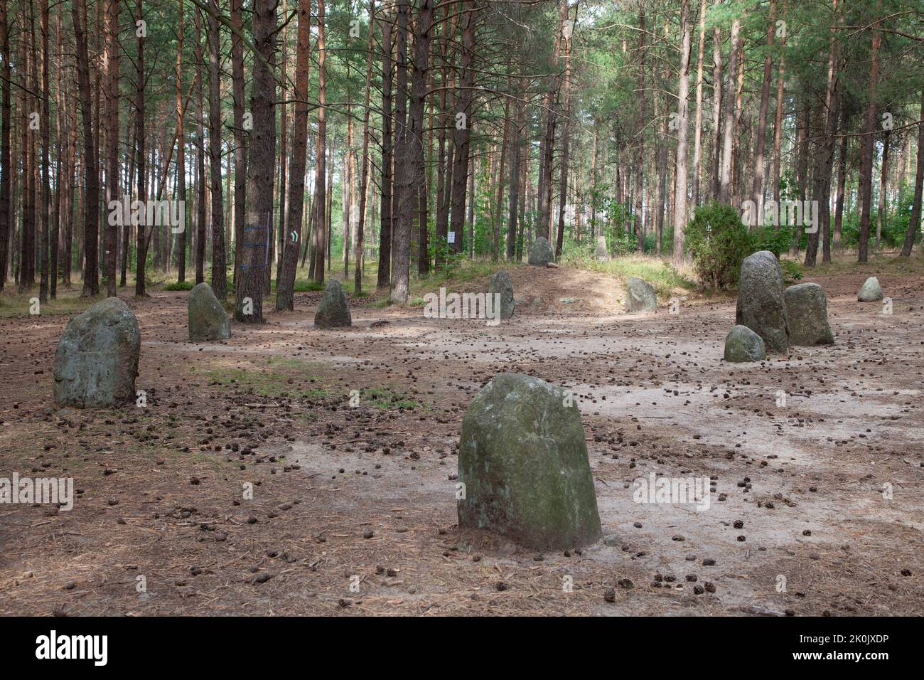Megalithic Stone circles in Węsiory Poland - Kamienne kręgi Węsiory Polska Stock Photo