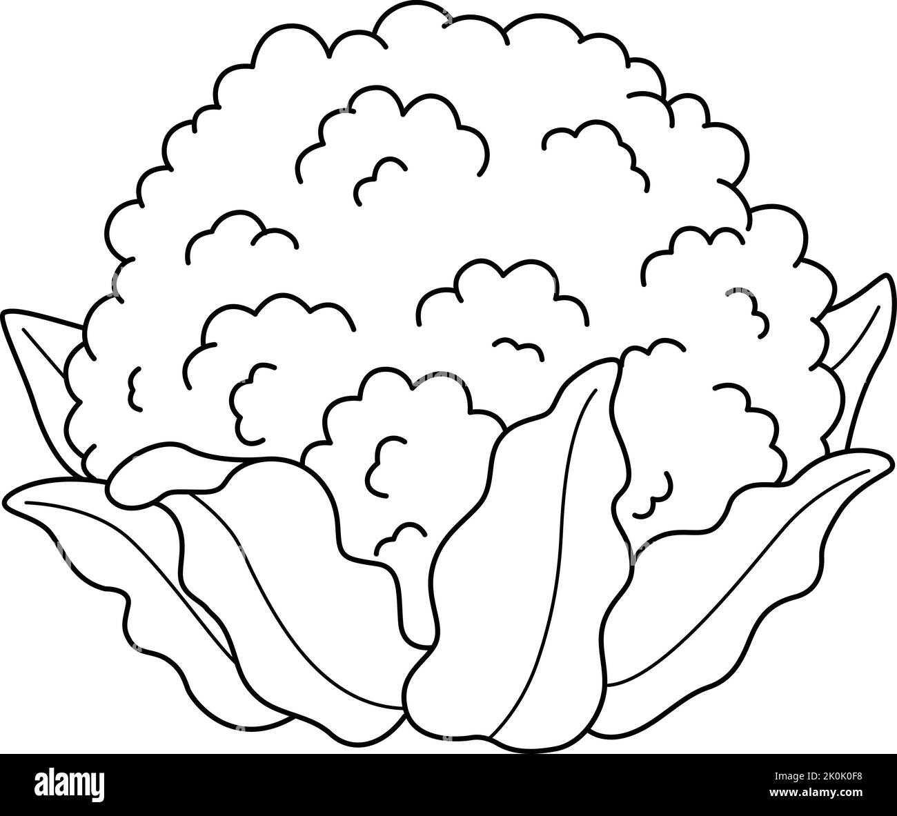 Cauliflower Vegetable Isolated Coloring Page  Stock Vector