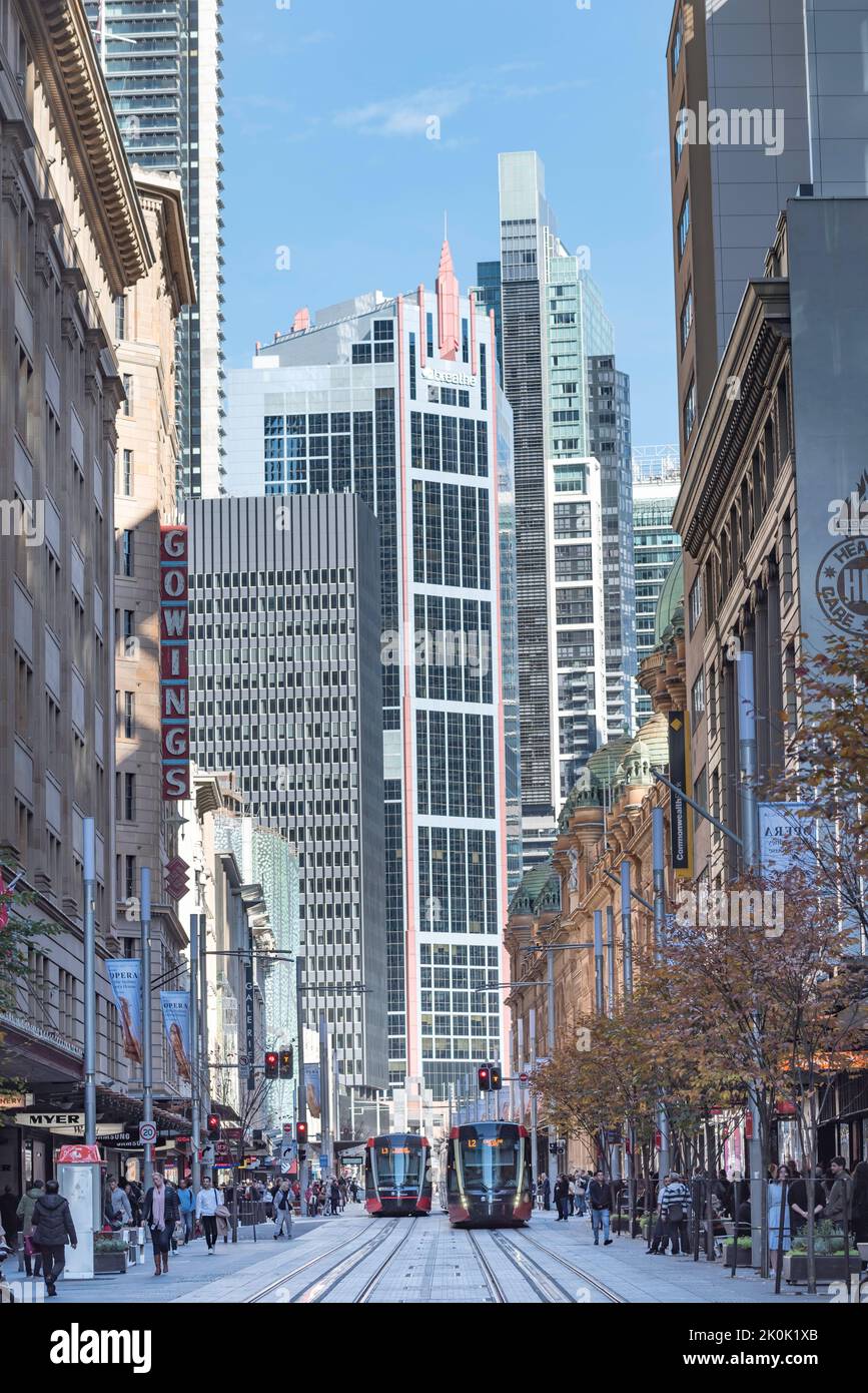 With the Queen Victoria Building (QVB) on the right, light rail trams move up and down George Street in Sydney, Australia Stock Photo