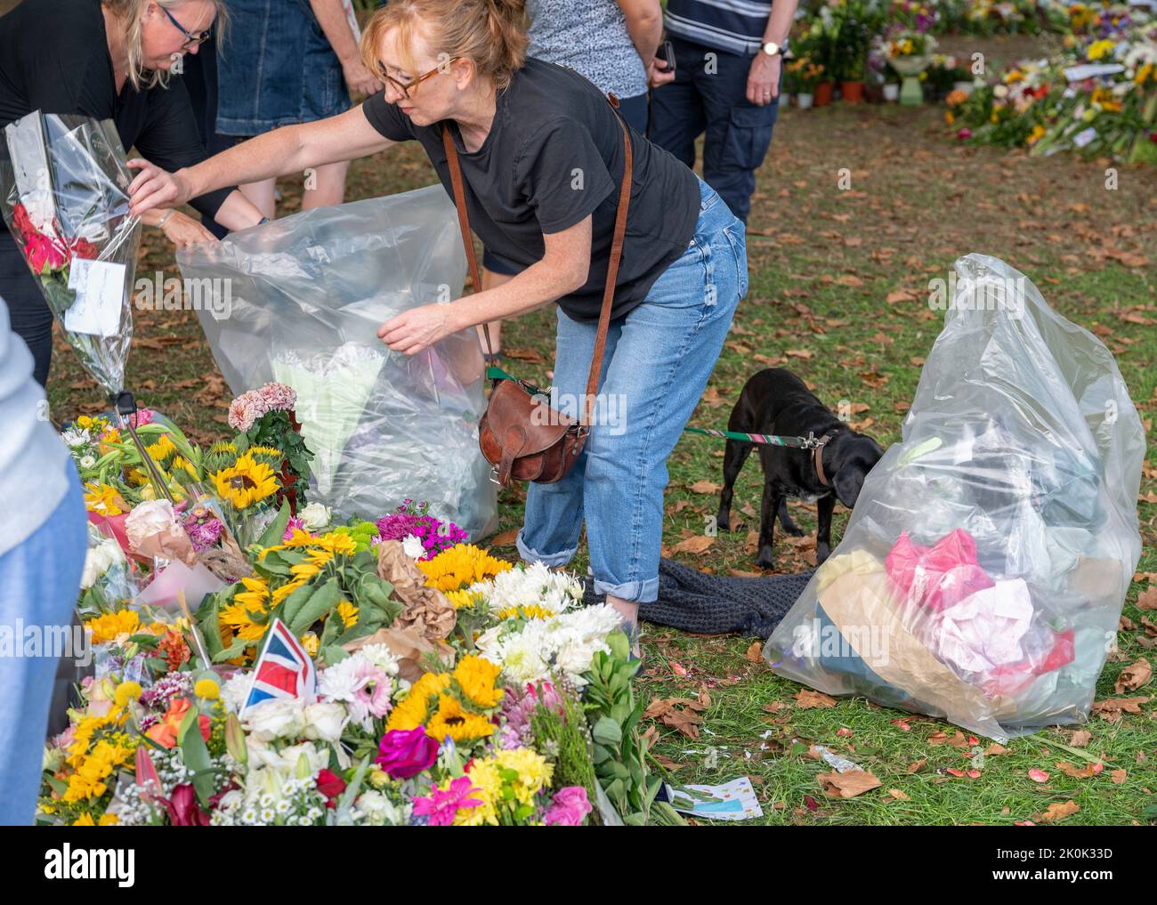 Volunteers remove plastic packaging hires stock photography and images