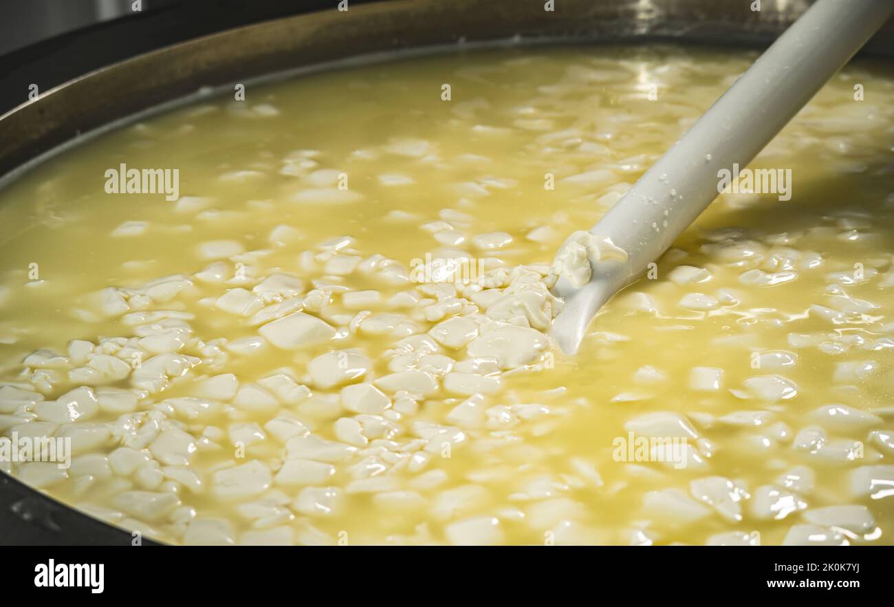 Cheesemaker measuring temperature with thermometer in a large steel tank  full of milk Stock Photo - Alamy