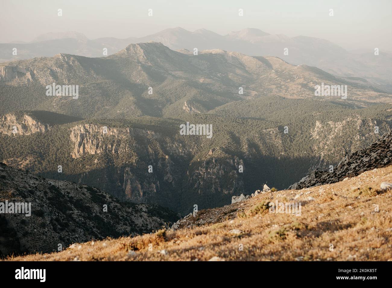 Picturesque landscape of foggy mountain rocky ranges with green dense ...
