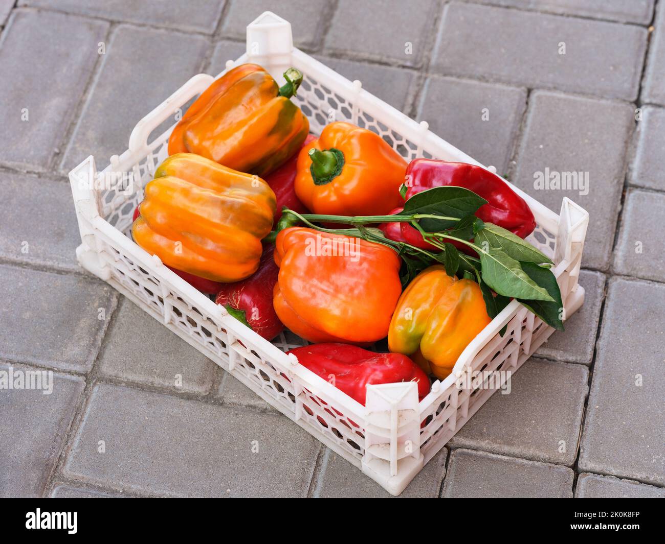 A white crate full of  fresh organic bell peppers standing outdoors Stock Photo