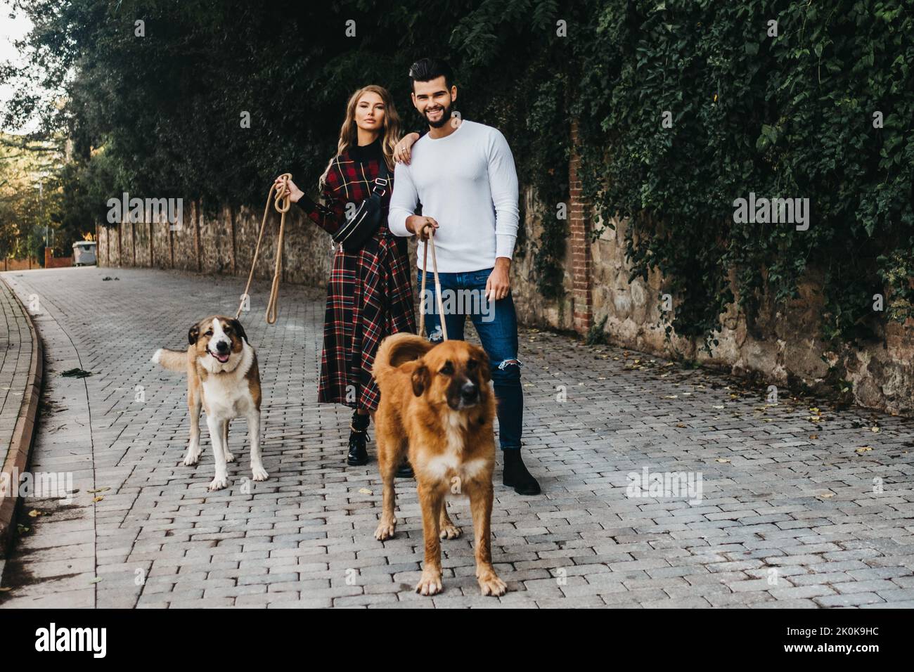 young attractive couple walking their dogs on a leash in the streets of