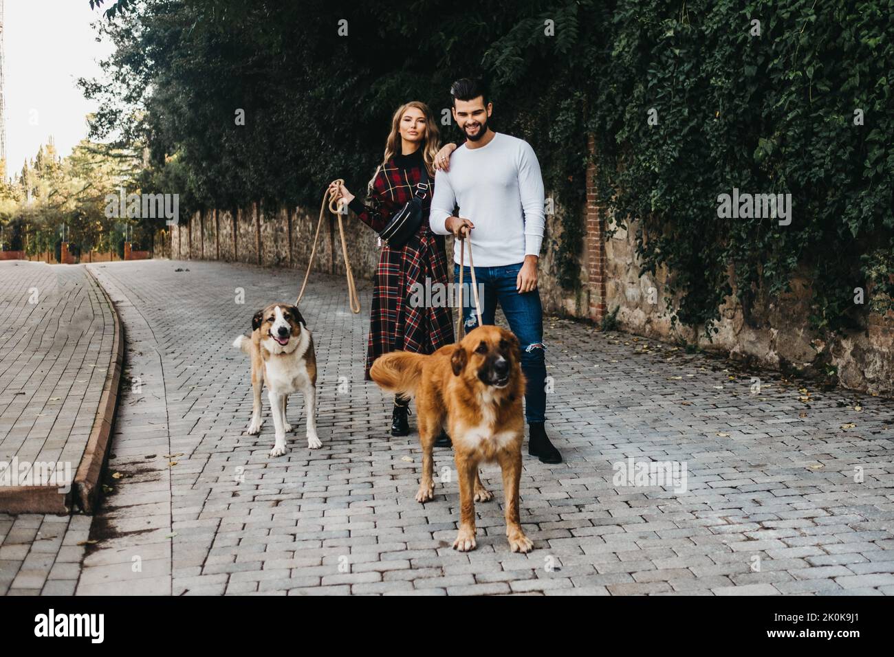 young attractive couple walking their dogs on a leash in the streets of ...