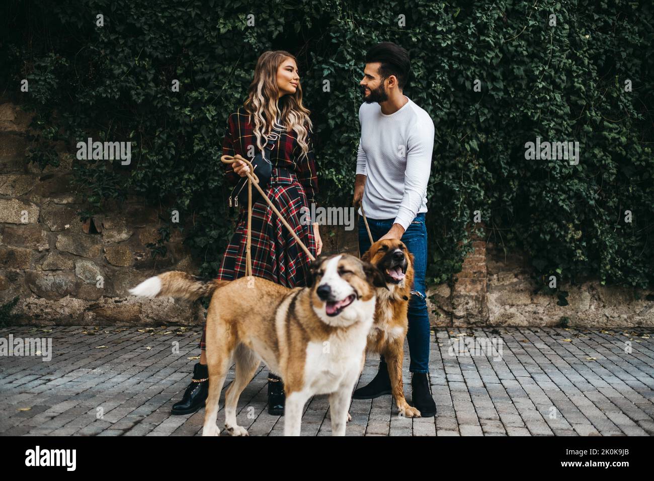 young attractive couple walking their dogs on a leash in the streets of ...