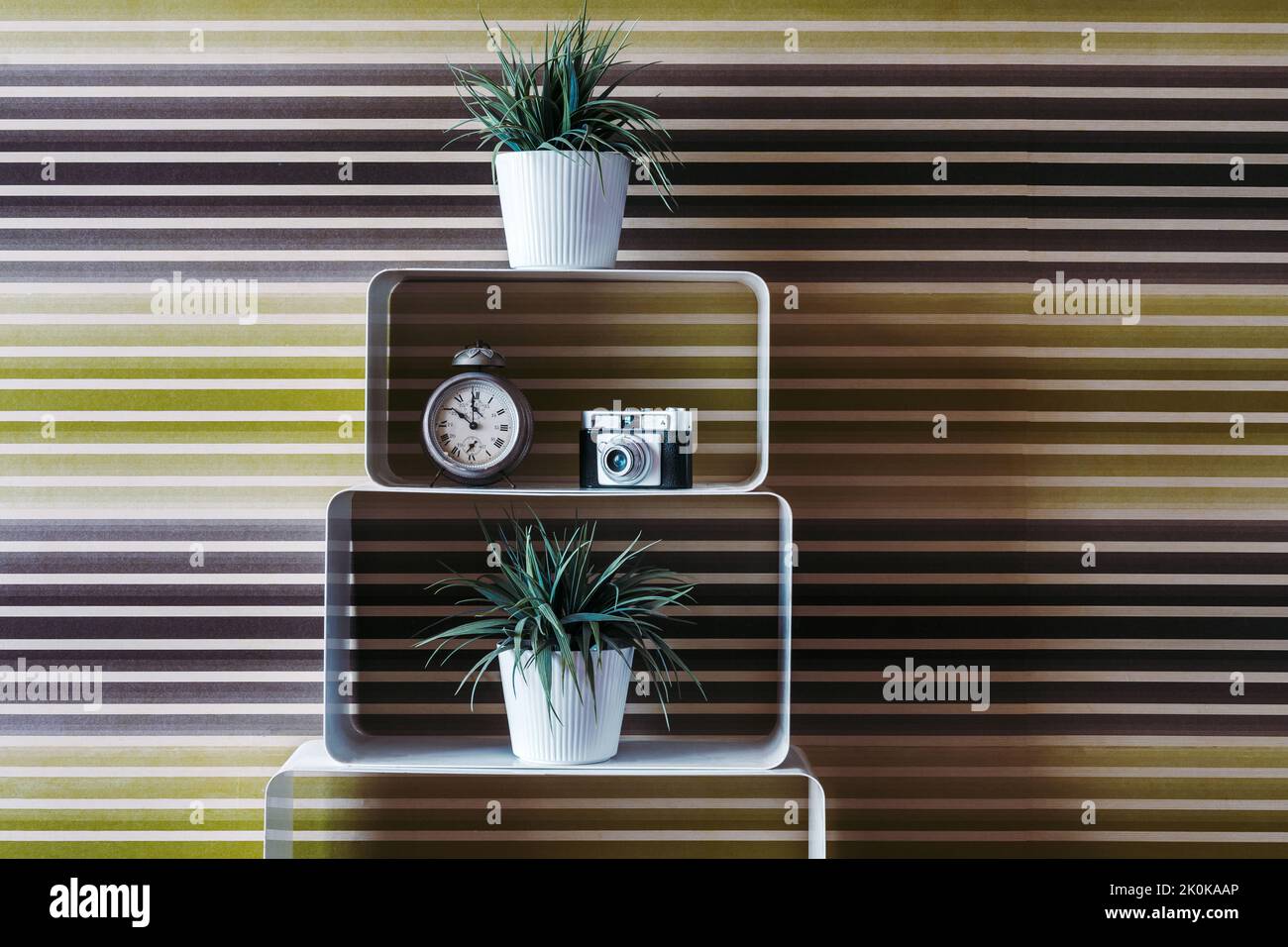 Vintage clock and retro fashioned camera placed on shelf between potted plants against colorfully striped background Stock Photo