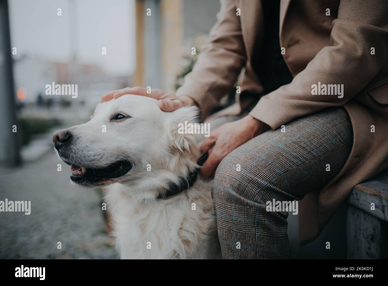 Midsection of unrecognizable senior man sitting on bench and resting ...