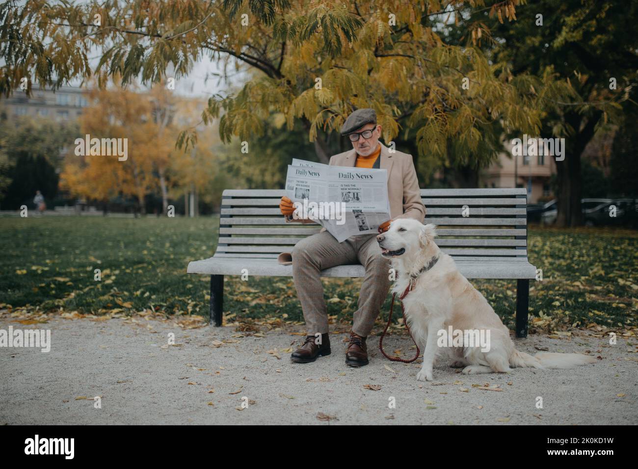 Happy senior man sitting on bench and reading newspaper during dog walk ...