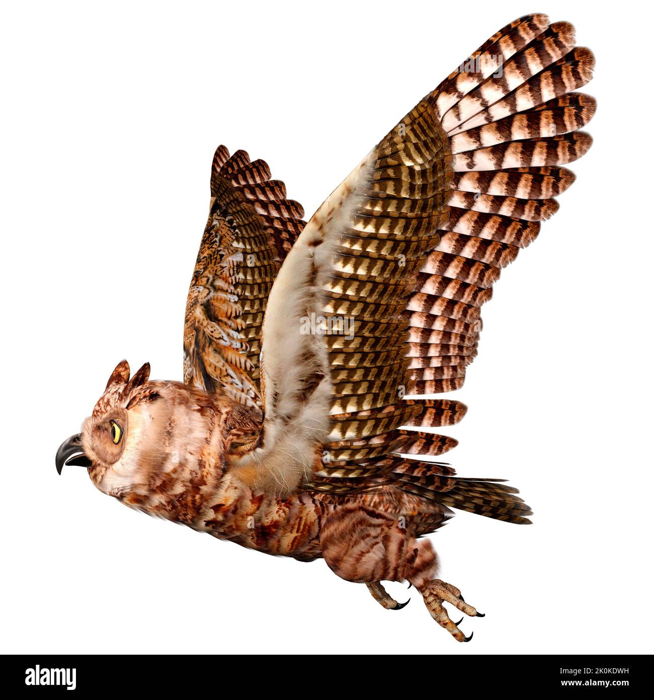 3D rendering of a great horned owl or tiger owl or Bubo virginianus