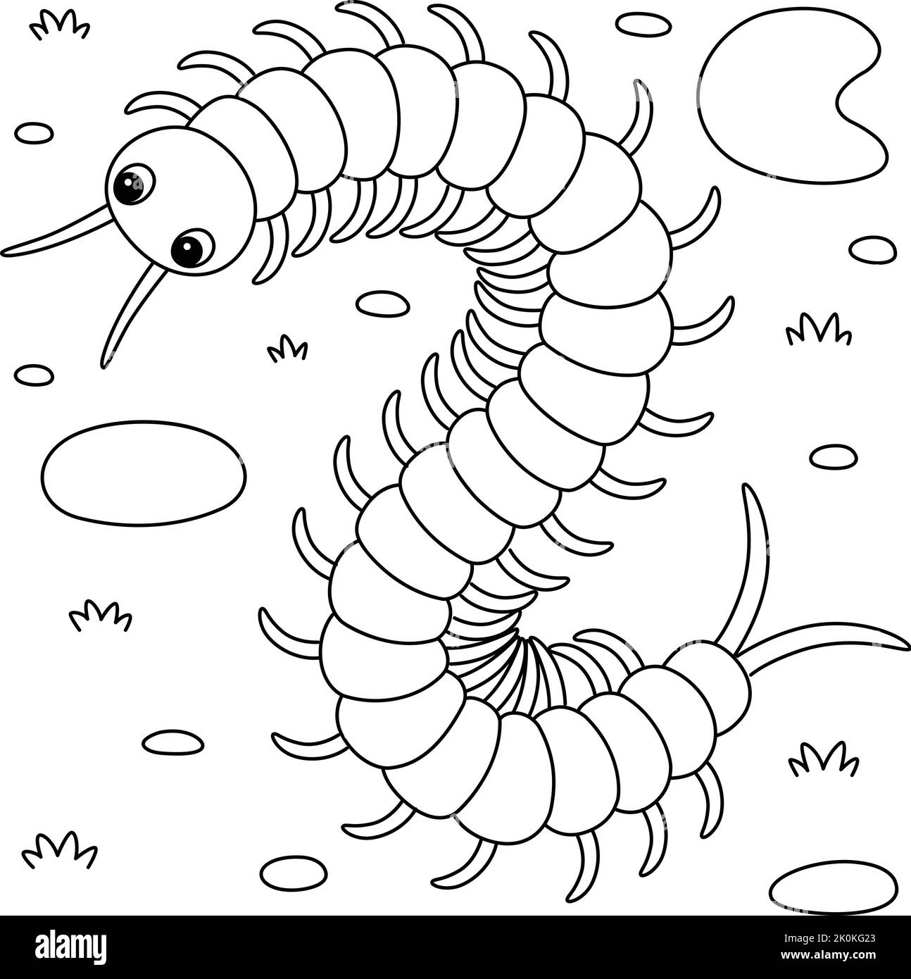 Centipede Animal Coloring Page for Kids Stock Vector