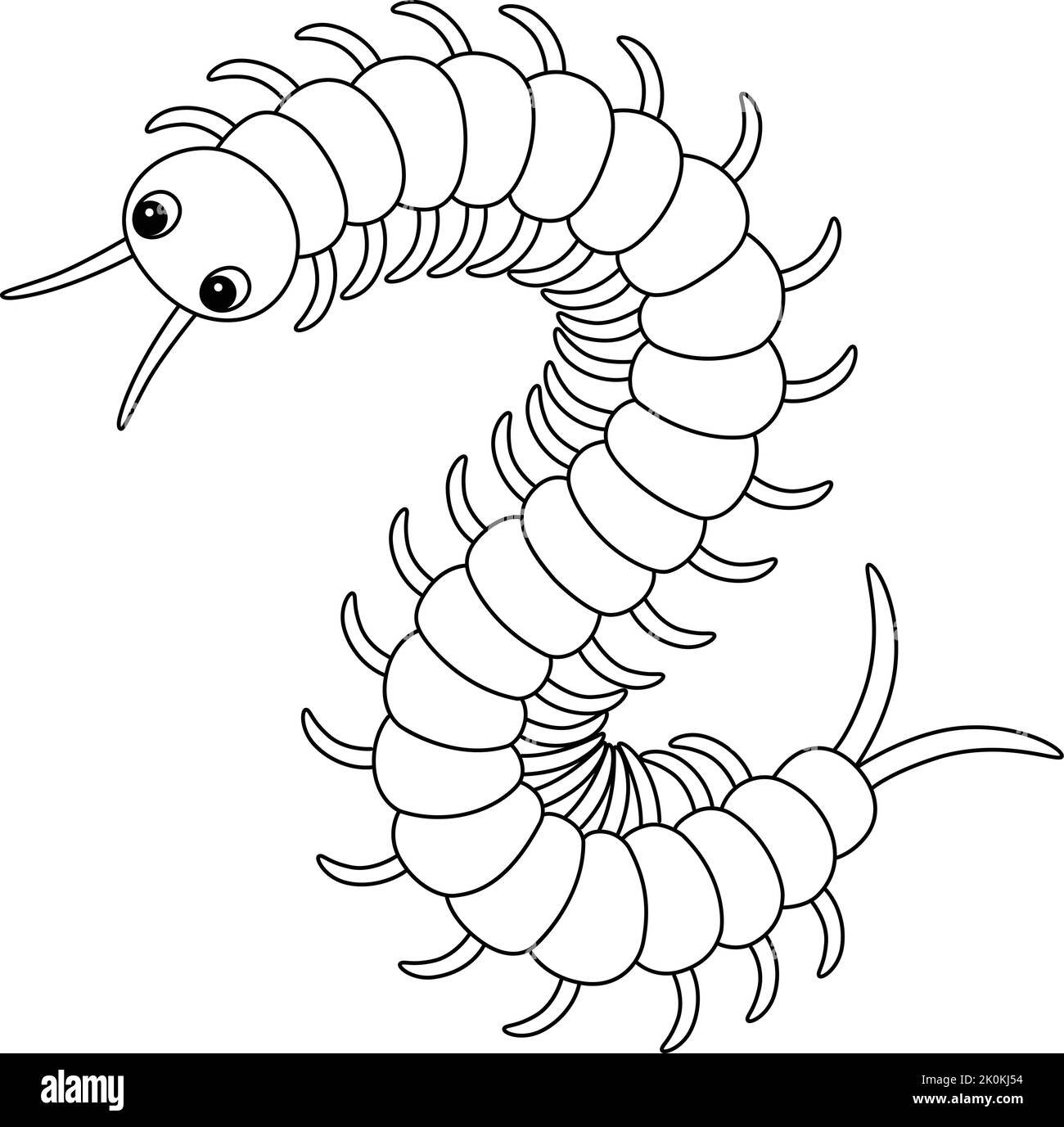 Centipede Animal Isolated Coloring Page for Kids Stock Vector