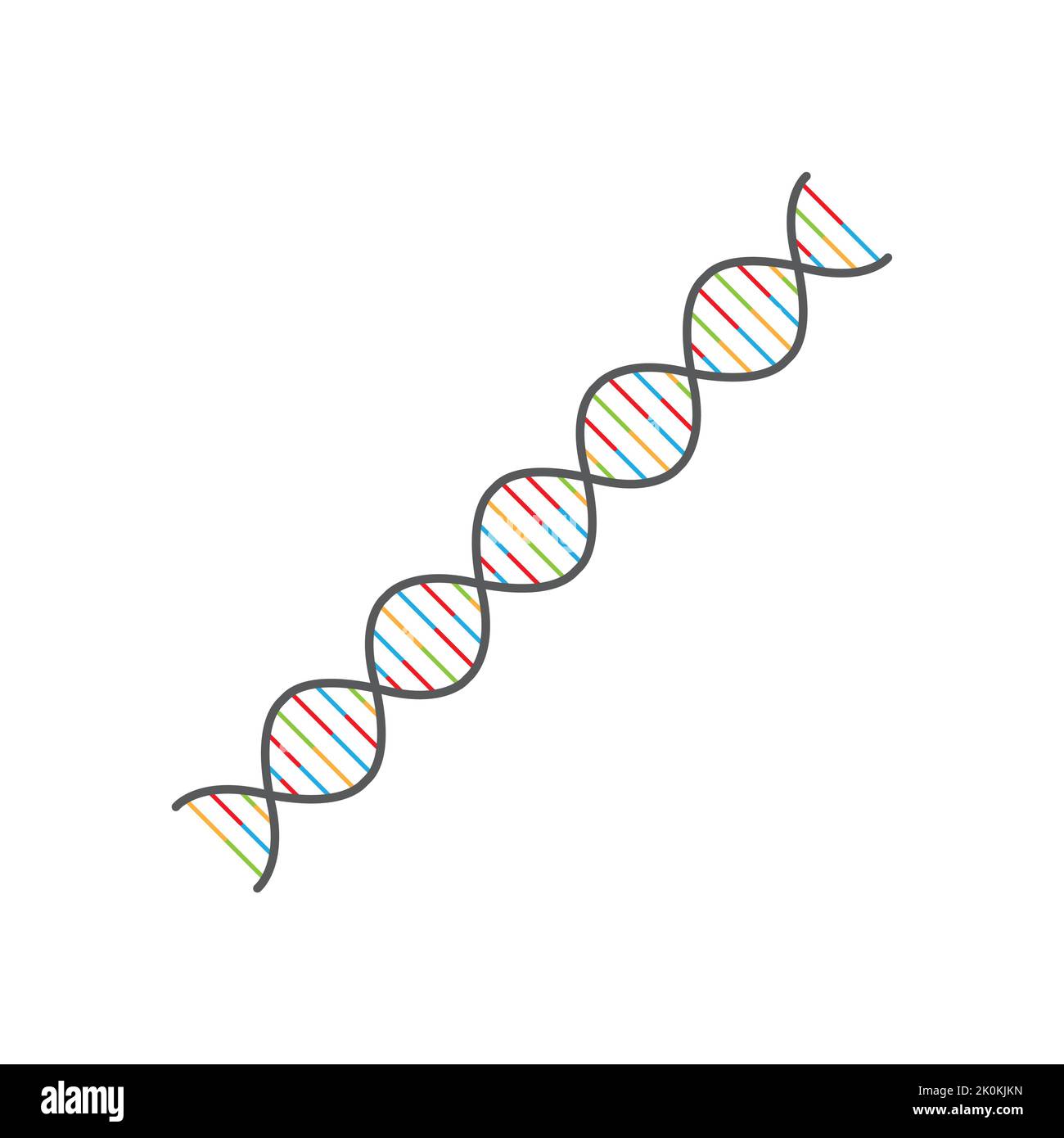 Helicoidal stock vector images alamy