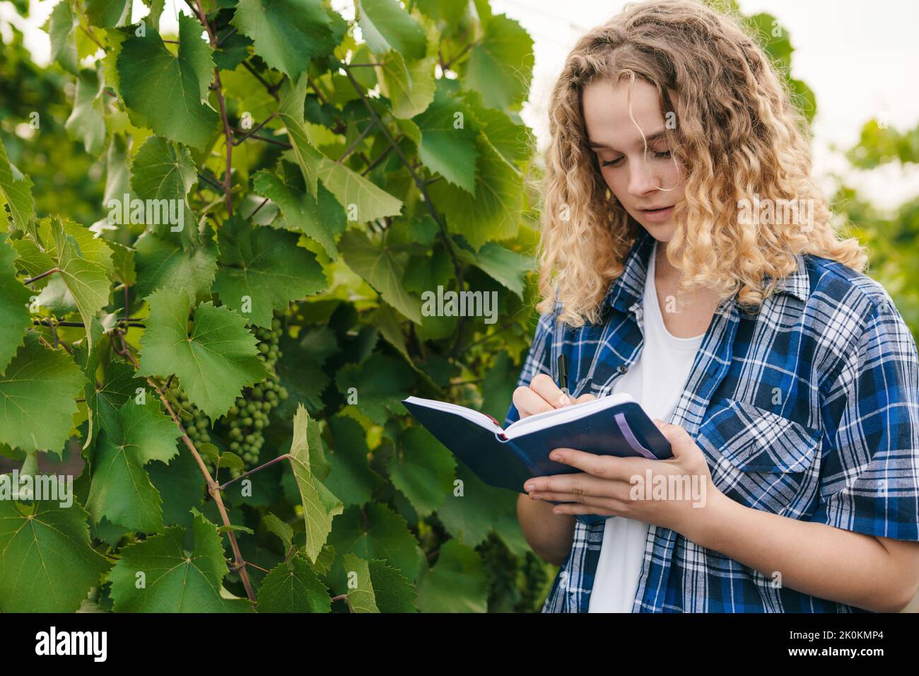 Curly-haired caucasian woman specialist writing on paper note book data about agriculture problems. Concept for smart farming, smart farmer, and smart Stock Photo