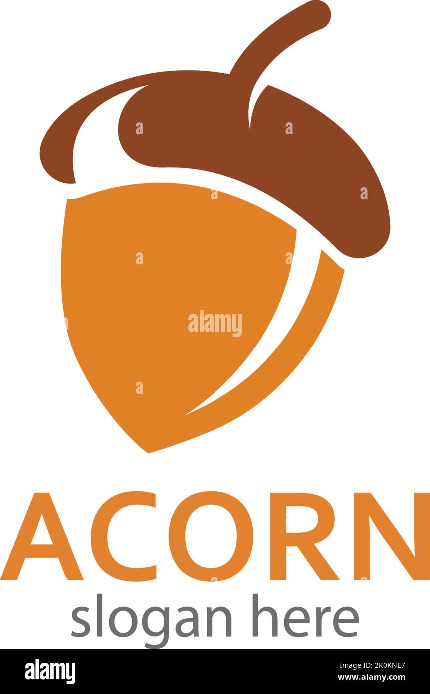 Acorn logo illustration vector template Stock Vector Image & Art - Alamy