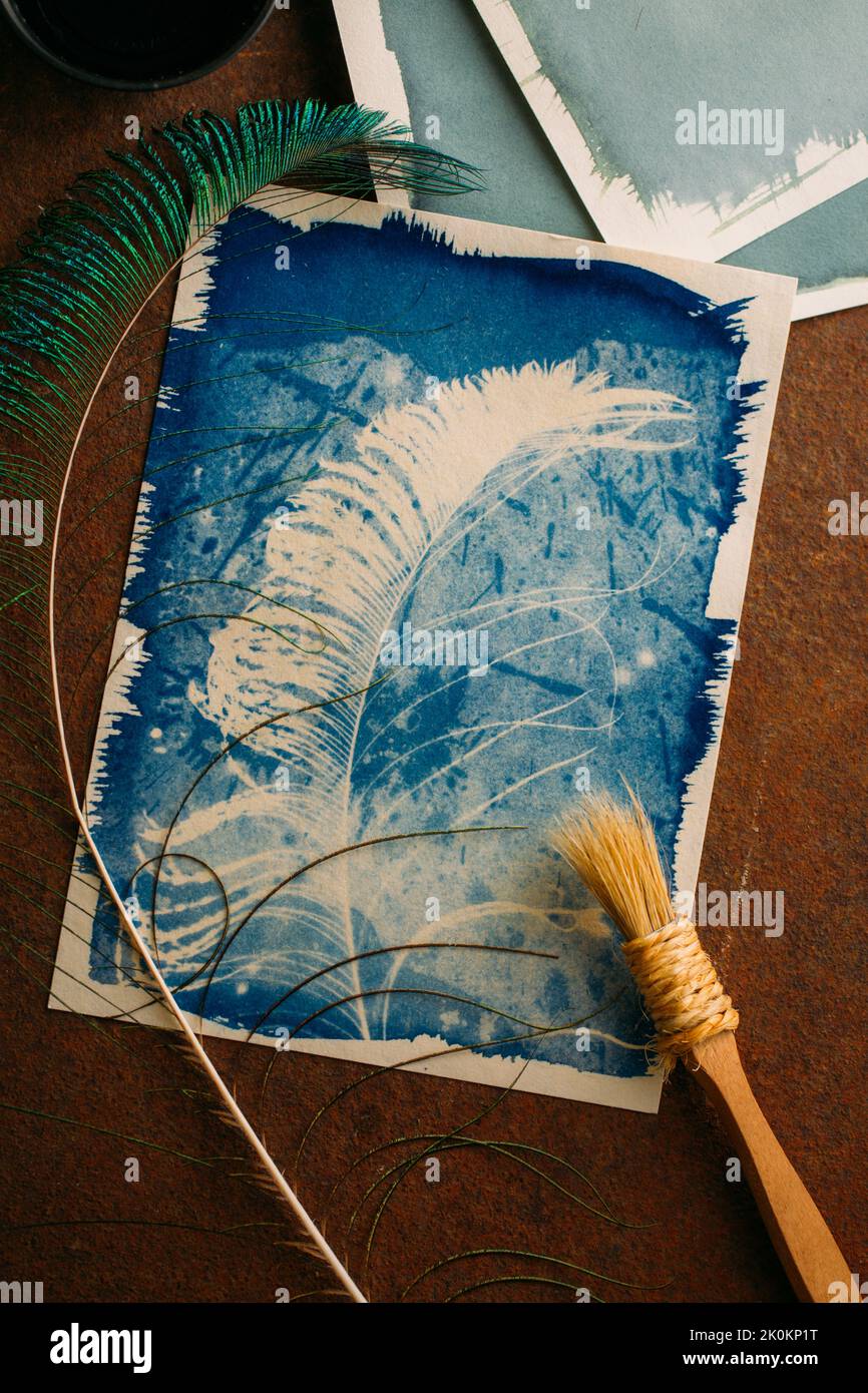 Handmade Peacock feather cyanotype on grunge background Stock Photo