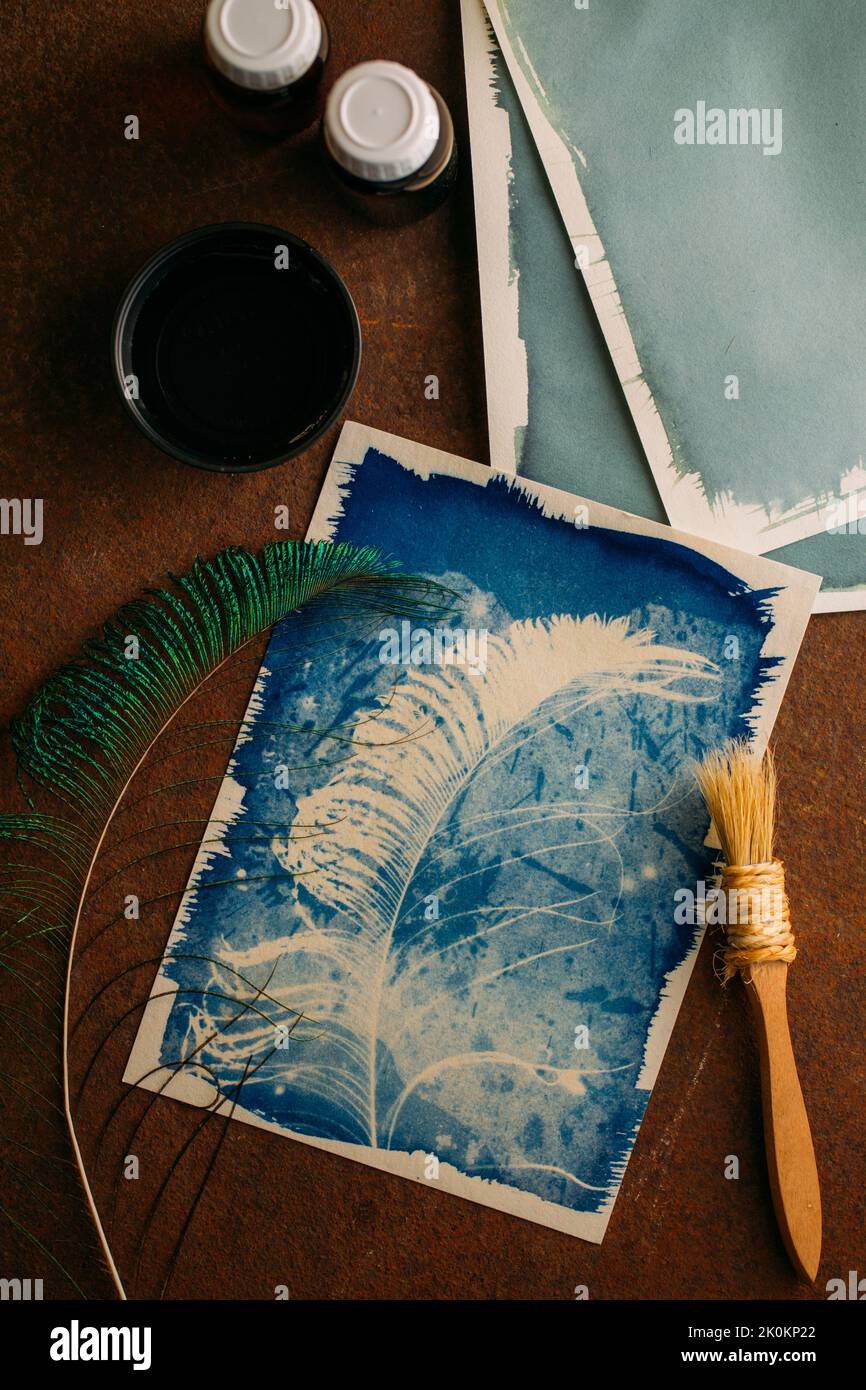 Handmade Peacock feather cyanotype on grunge background Stock Photo