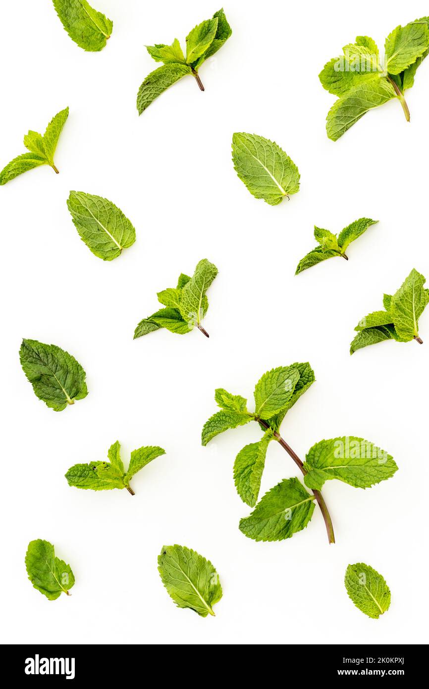 Herbs pattern with green mint leaves, top view Stock Photo