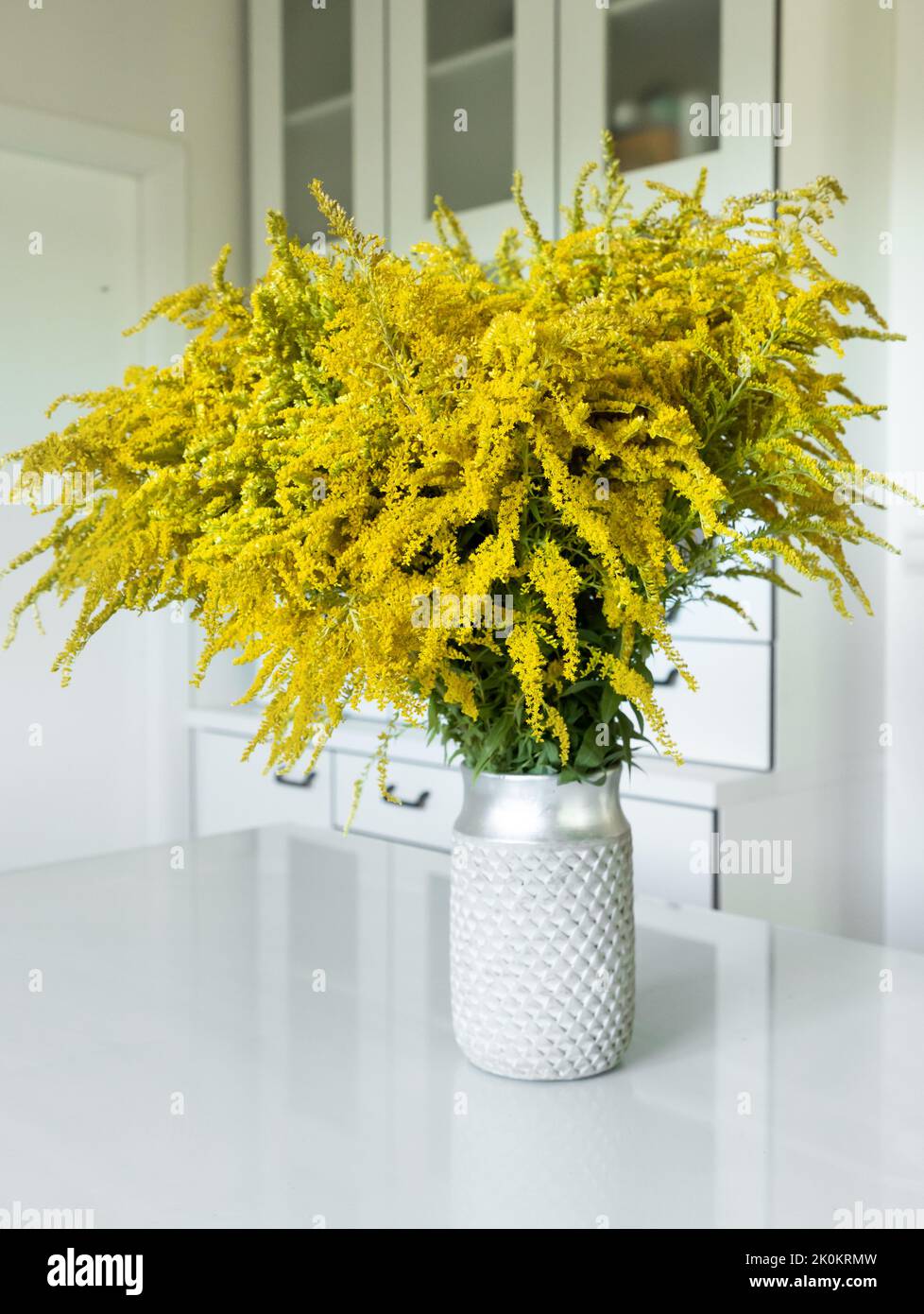Still life of solidago goldenrod wildflowers in a vase on a white kitchen table. Yellow flower Stock Photo
