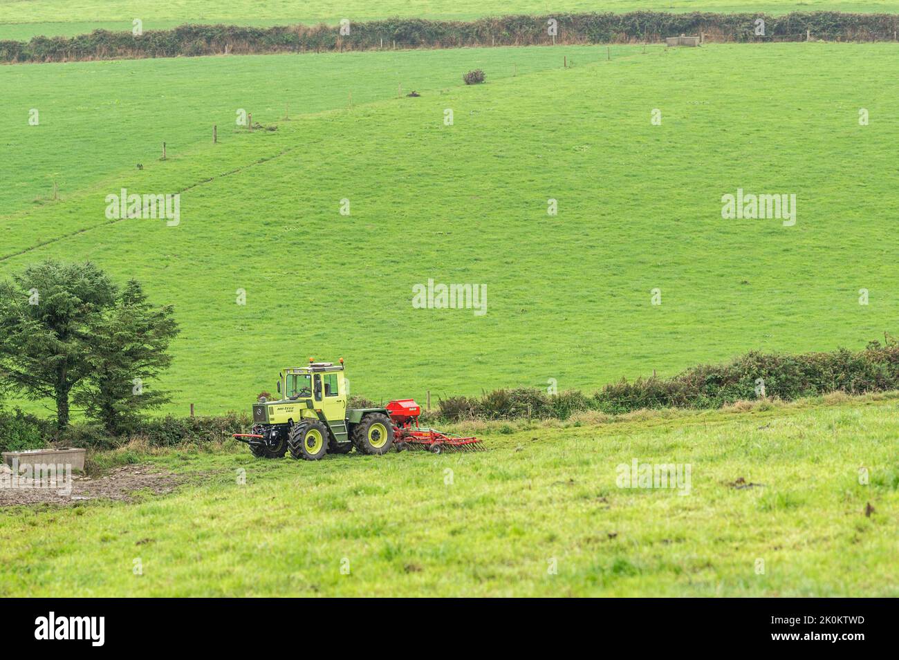 Timoleague, West Cork, Ireland. 12th Sep, 2022. A big exponent of sustainable farming, West Cork based dairy farmer David Deasy prepares the ground for stitching clover on his farm in Timoleague. David is using an Einbock Grass Harrow being hauled by a fully restored 1990 Mercedes MB Trac 1100 tractor. Credit: AG News/Alamy Live News Stock Photo