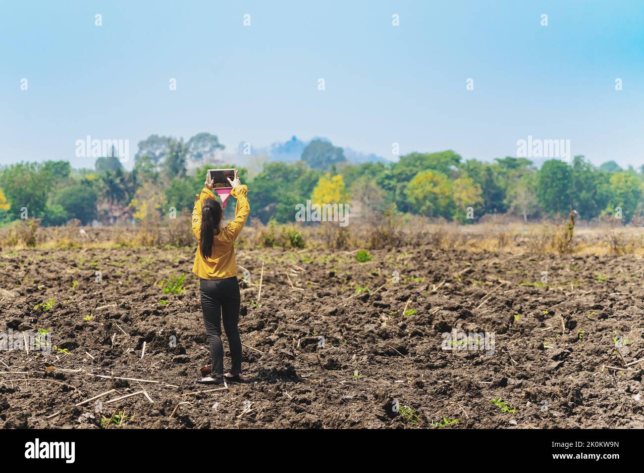 Female farmer use tablet to take wide angle shots of land to make ...
