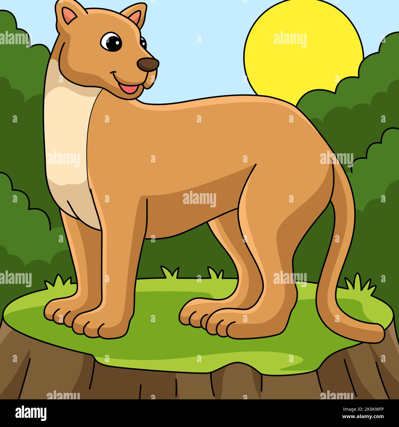 Puma Animal Colored Cartoon Illustration Stock Vector