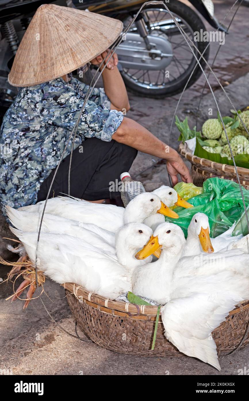 Small Duck Straw Hat On White Stock Photo 54461680