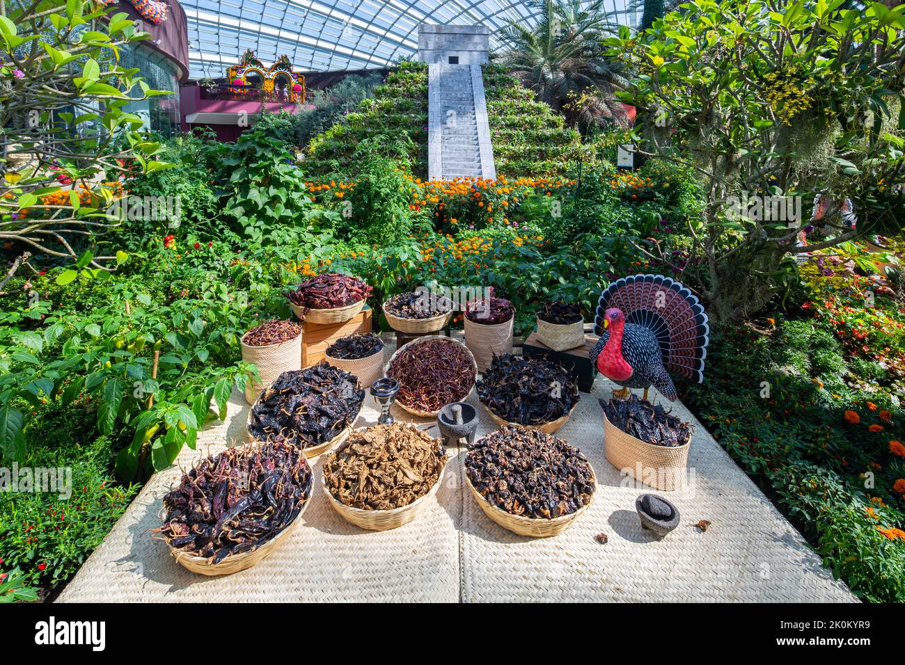 Dry chillies display from the Mexican culture. Gardens by the Bay, Singapore. Stock Photo