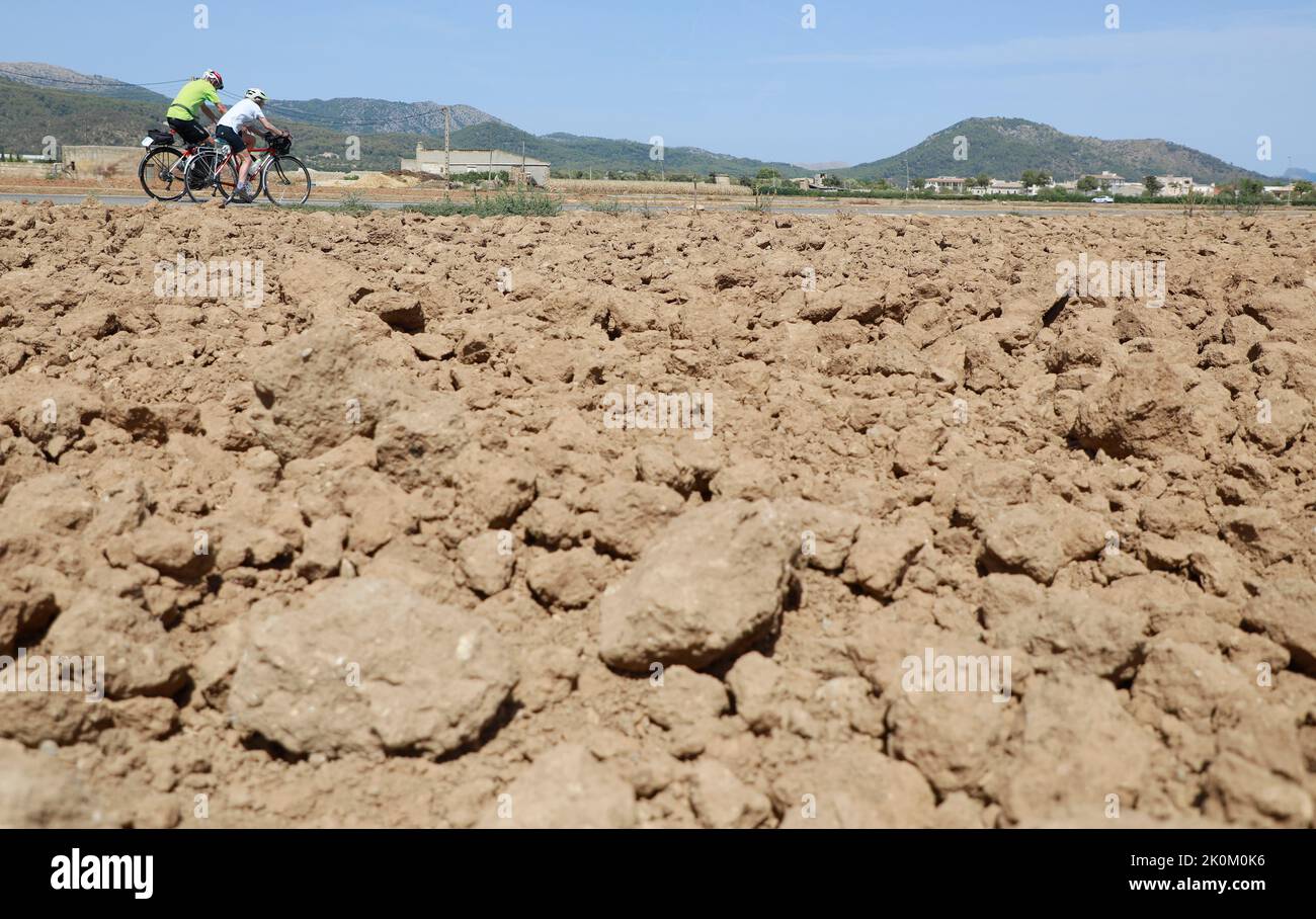 12 September 2022, Spain, Búger: Cyclists ride next to a dry field during a heat wave and a yellow emergency warning for high temperatures after a summer of record highs. Photo: Clara Margais/dpa Stock Photo