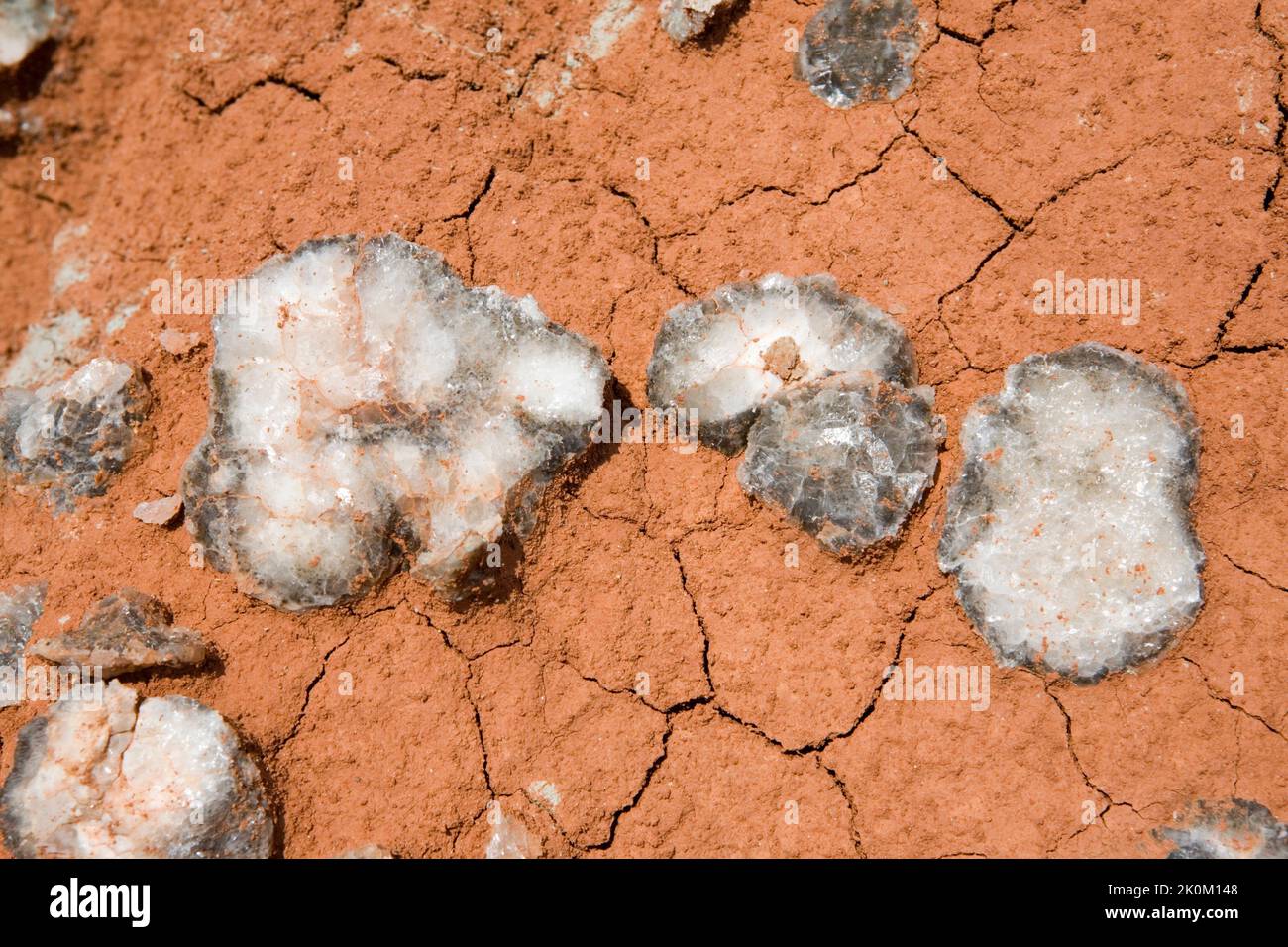 The mineral selenite gypsum in Gloss Mountain State Park Oklahoma Stock