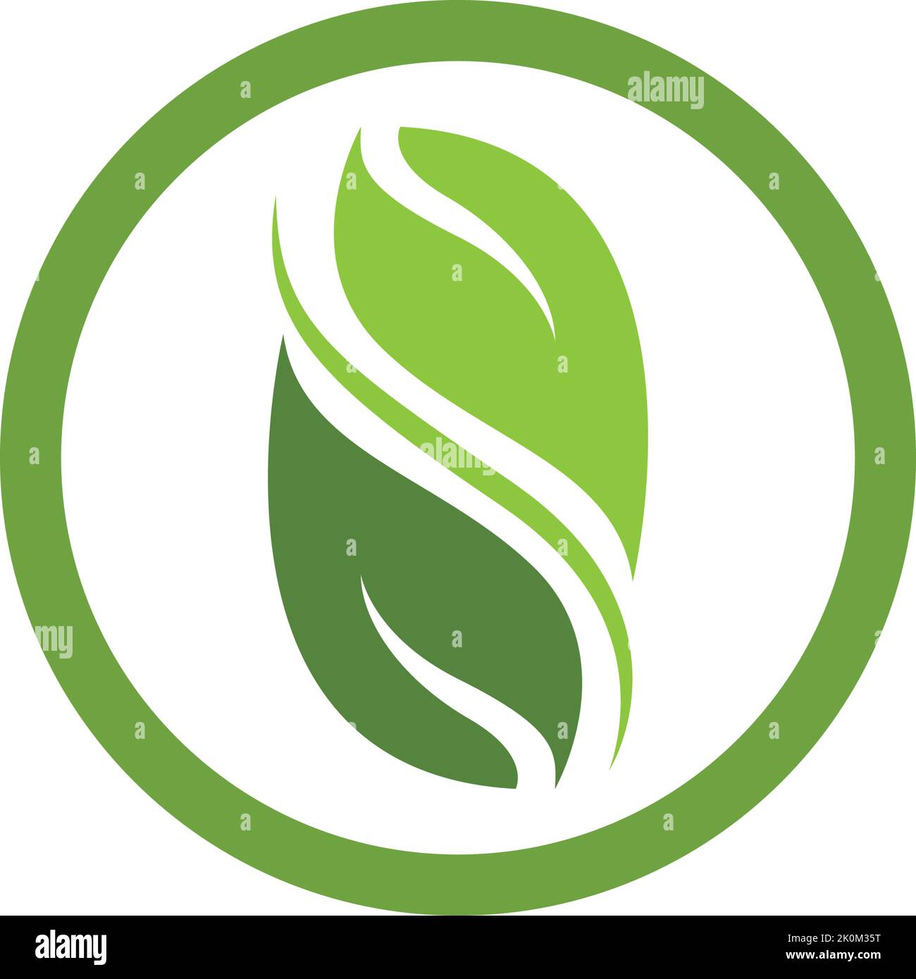 Green leaf logo template Vector icon Stock Vector Image & Art - Alamy