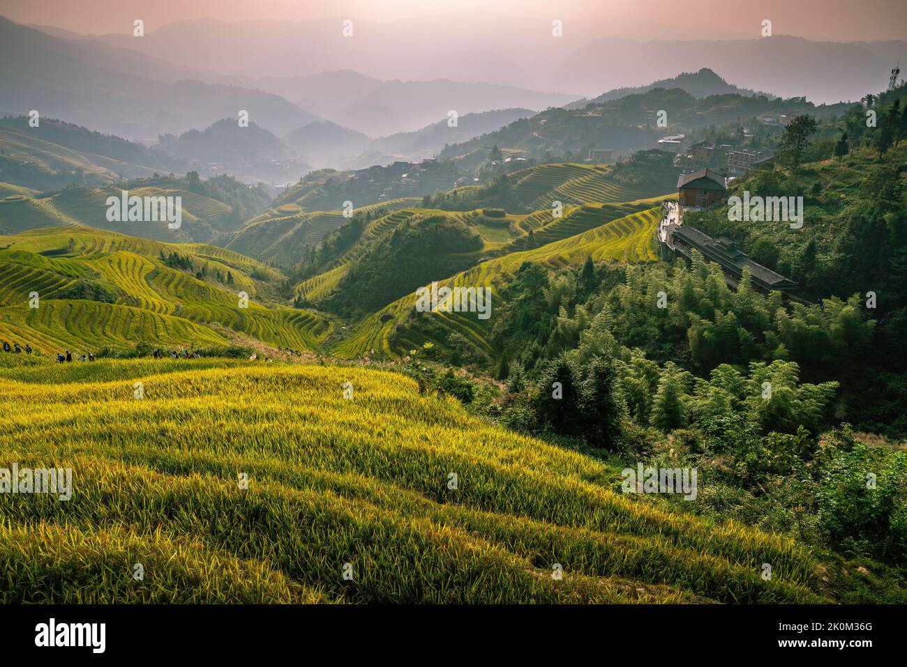 Longji Rice terraces China aerial view sunrise Stock Photo