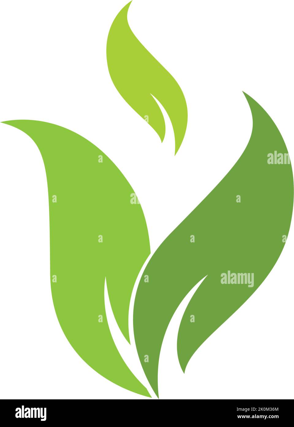 Green leaf logo template Vector icon Stock Vector Image & Art - Alamy