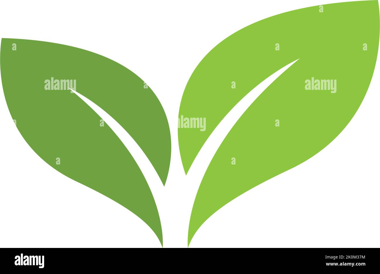 Green leaf logo template Vector icon Stock Vector Image & Art - Alamy