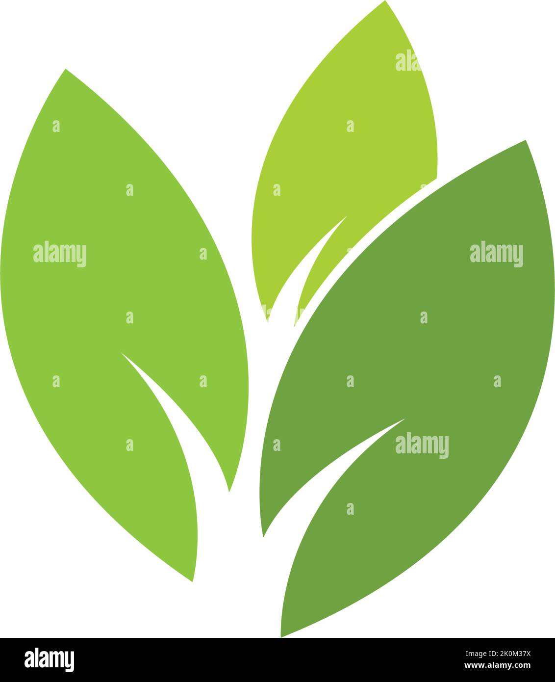 Green leaf logo template Vector icon Stock Vector Image & Art - Alamy